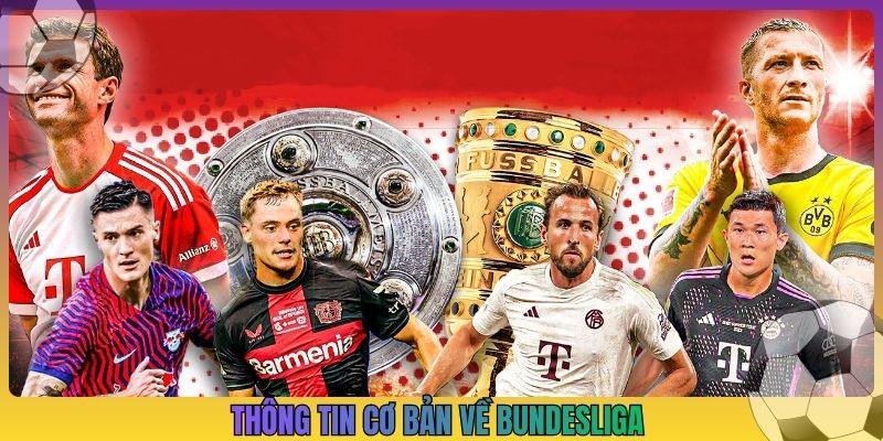 Thông tin cơ bản về Bundesliga