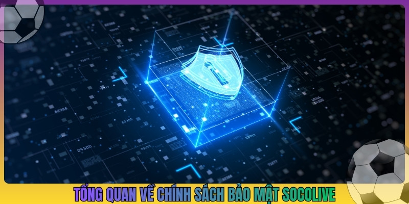 Tổng quan về chính sách bảo mật Socolive