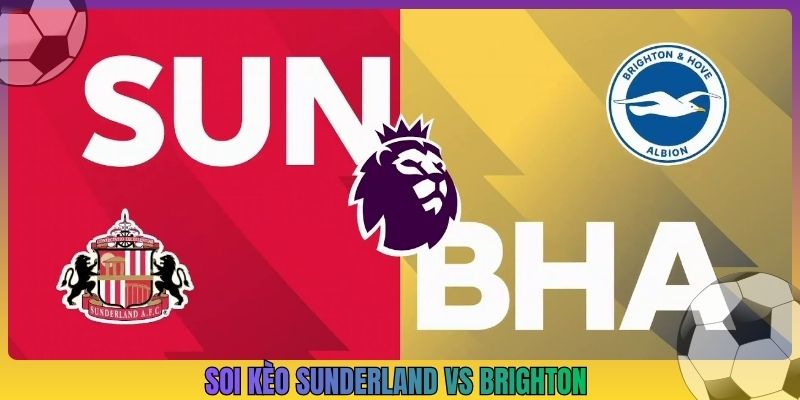 Soi Kèo Sunderland Vs Brighton, 21h00 10/10, Ngoại Hạng Anh